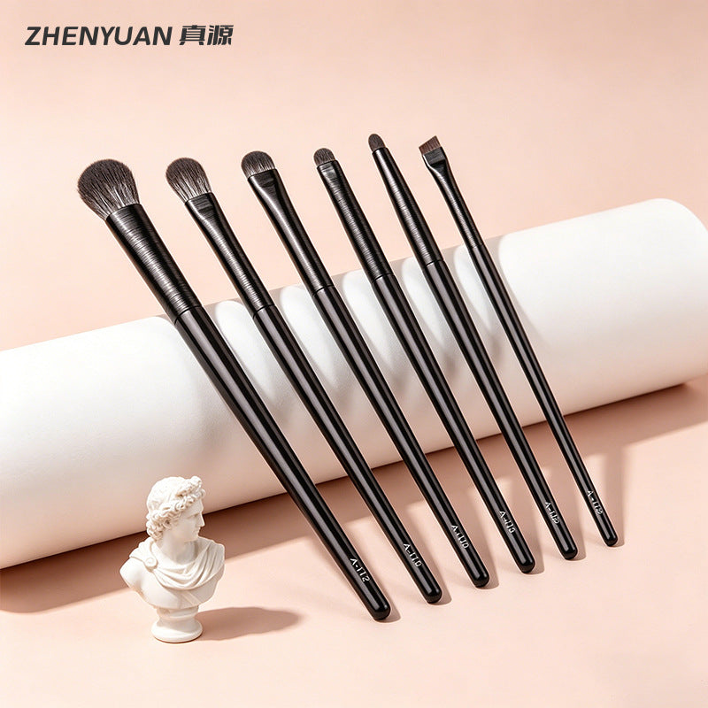 Cangzhou 6-Piece Black Wire Drawing Eye Makeup Brush Set with Animal Hair for Eyeshadow, Foundation, Blush, Concealer