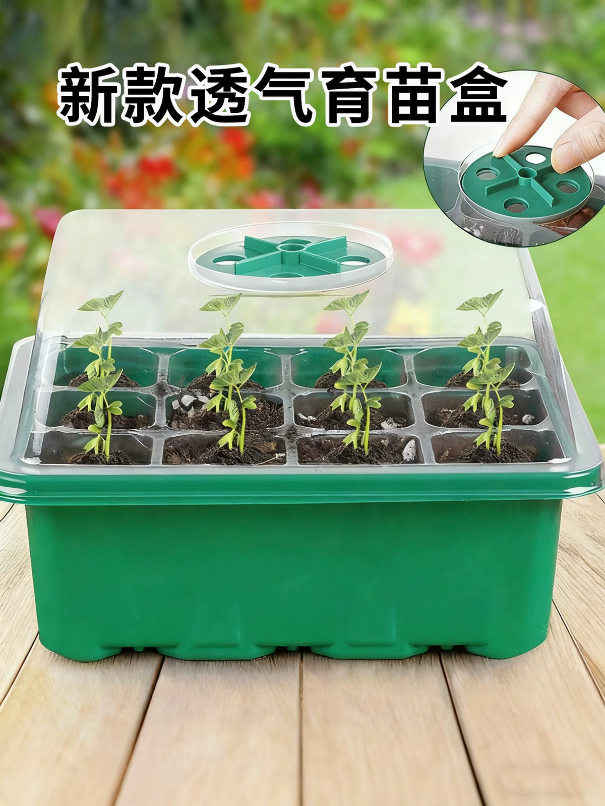 12-Hole Seed Starter Tray Kit with Humidity Dome and Base, Reusable Plant Germination Station