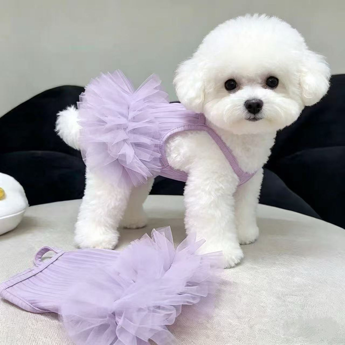 Pet Summer Cooling Vest Dress for Small Dogs and Cats