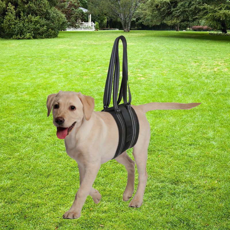 Dog Lift Harness for Senior, Injured, or Disabled Pets - Support Sling for Walking, Stairs, and Rehabilitation