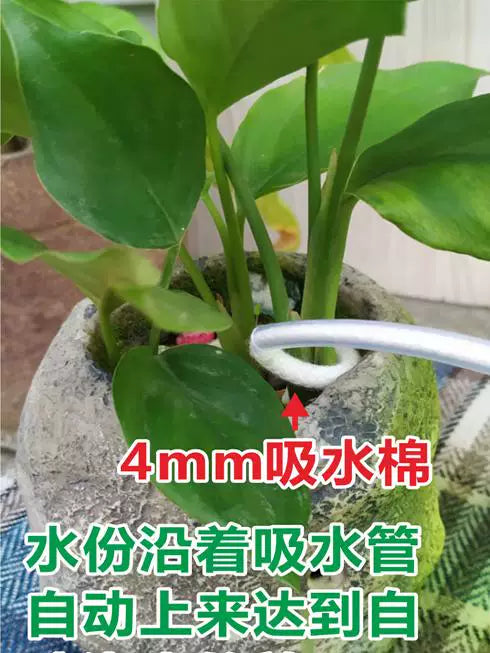5-Pack Automatic Plant Watering Spikes for Potted Plants, Self-Dripping Irrigation System for Indoor/Outdoor Use