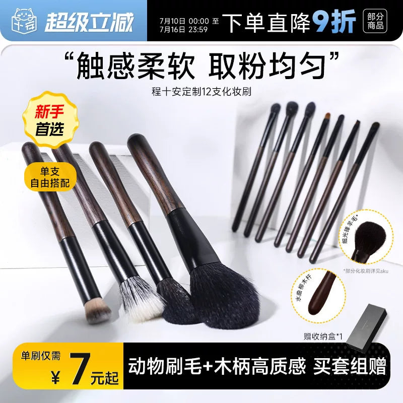 Cheng Shi An Professional Makeup Brush Set for Face and Eyes