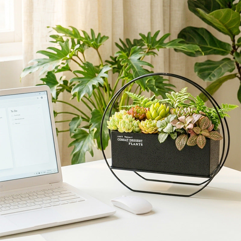 Modern Creative Iron Art Desktop Succulent Planter with Ceramic Pot and Stand