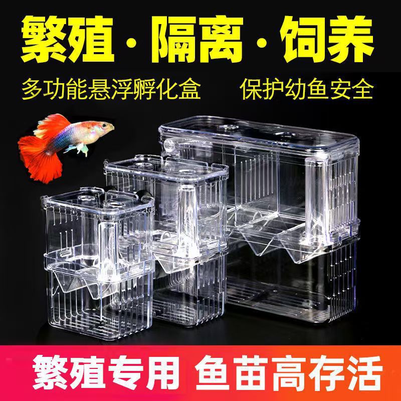 Acrylic Fish Tank Isolation Box Transparent Breeding Hatchery for Guppy Fry and Small Fish