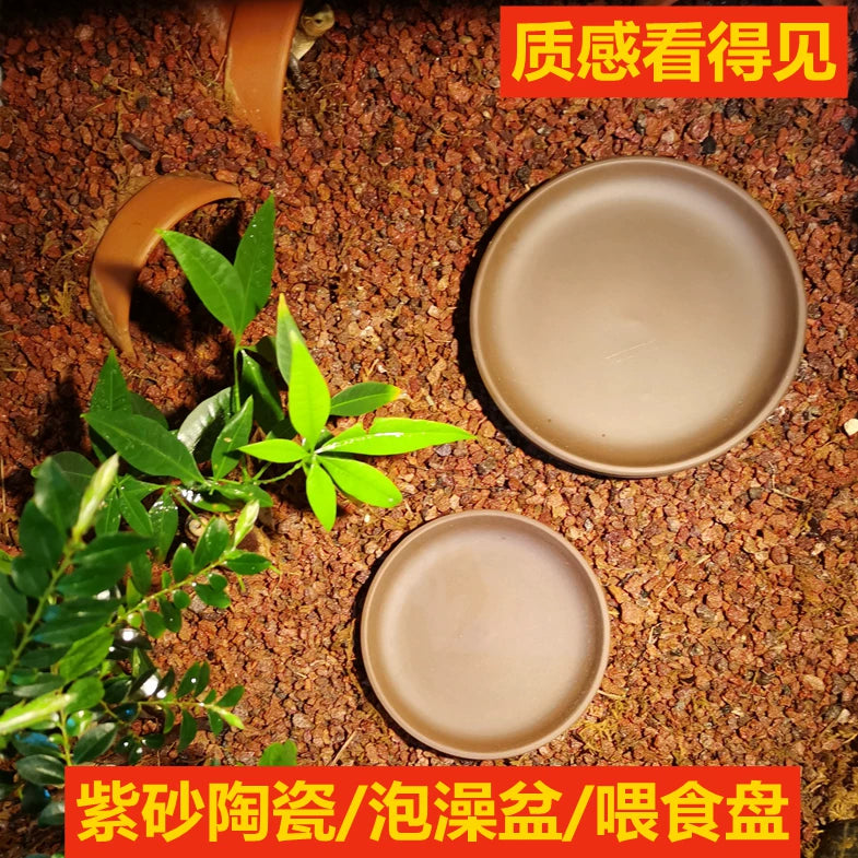 Ceramic Turtle Feeding and Basking Platform with Bathing Basin for Semi-Aquatic Turtles