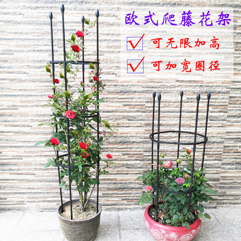 European Style Rose Climbing Trellis for Potted Plants and Garden Vines