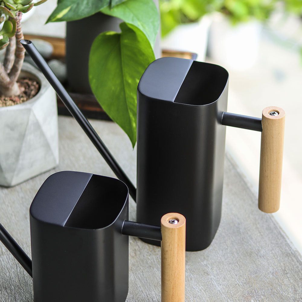 European Style Stainless Steel Long Spout Watering Can with Wooden Handle for Garden and Indoor Plants