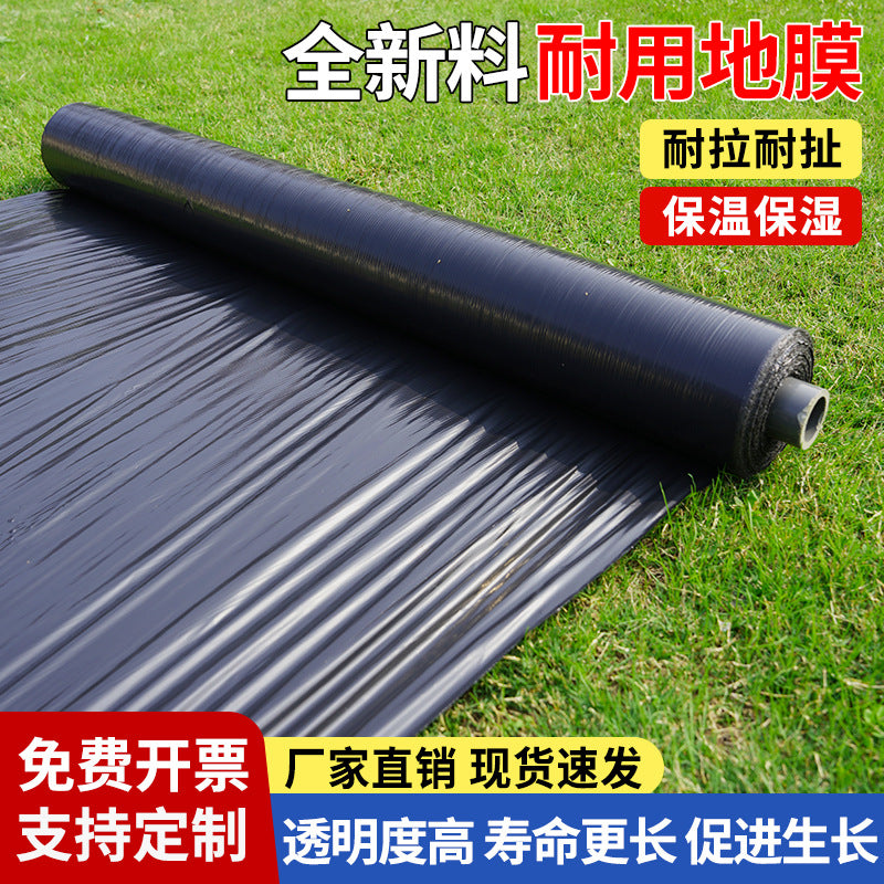 Agricultural Black Mulch Film for Weed Control and Soil Warming