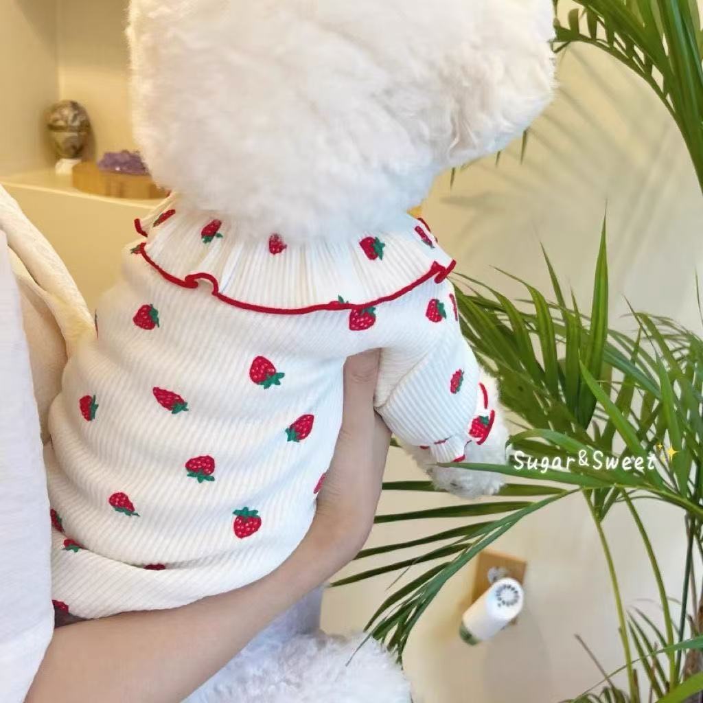 Pet Strawberry Print Undershirt for Small Dogs and Cats