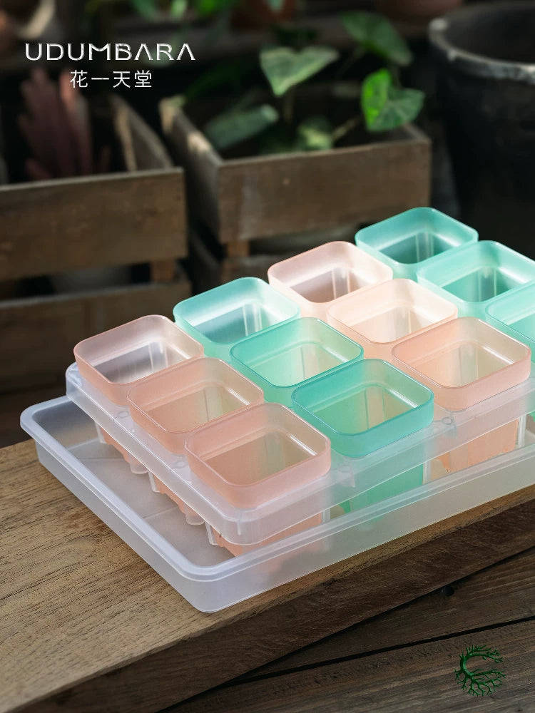Semi-Transparent Square Plastic Planter with Drainage Tray for Succulents and Seedlings