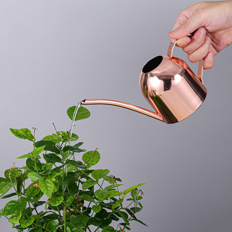Stainless Steel Long Spout Watering Can for Indoor Plants, 500ml