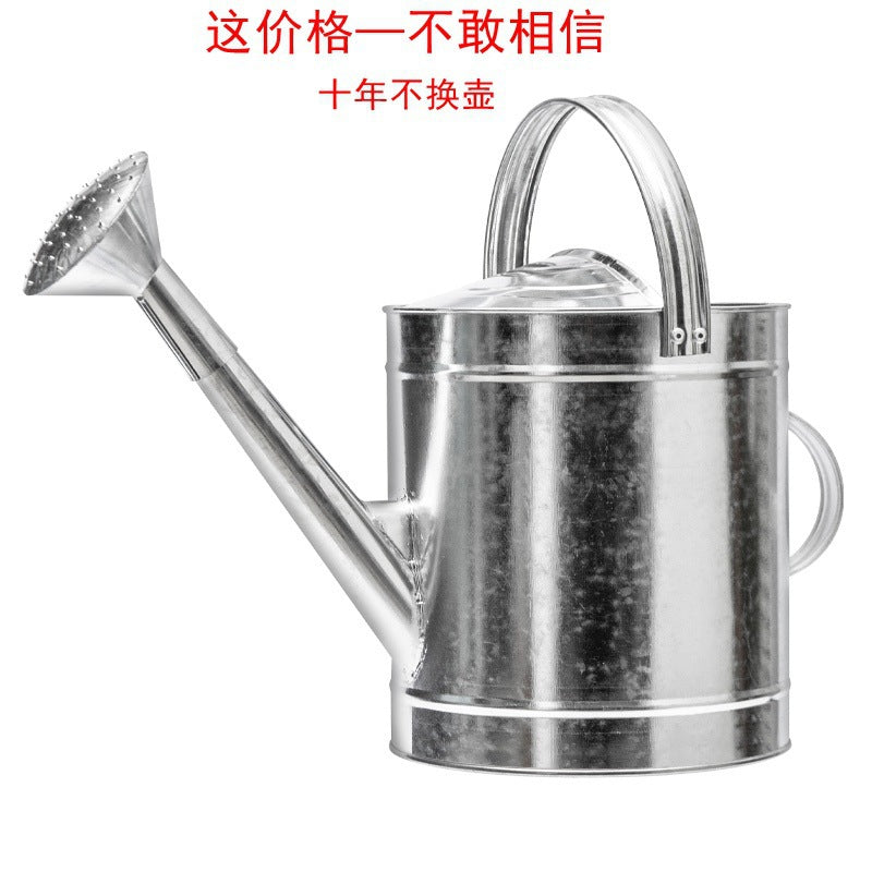 Large Capacity Garden Watering Can for Vegetables and Flowers