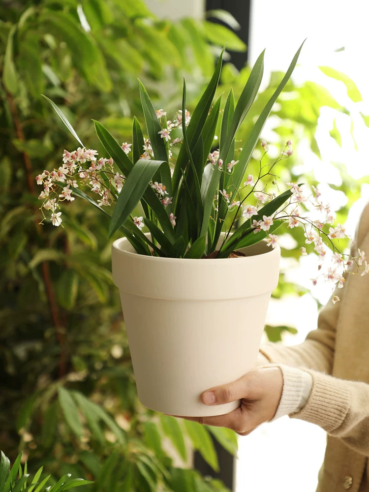 Classic Terracotta Planter Pot with Tray for Indoor Plants