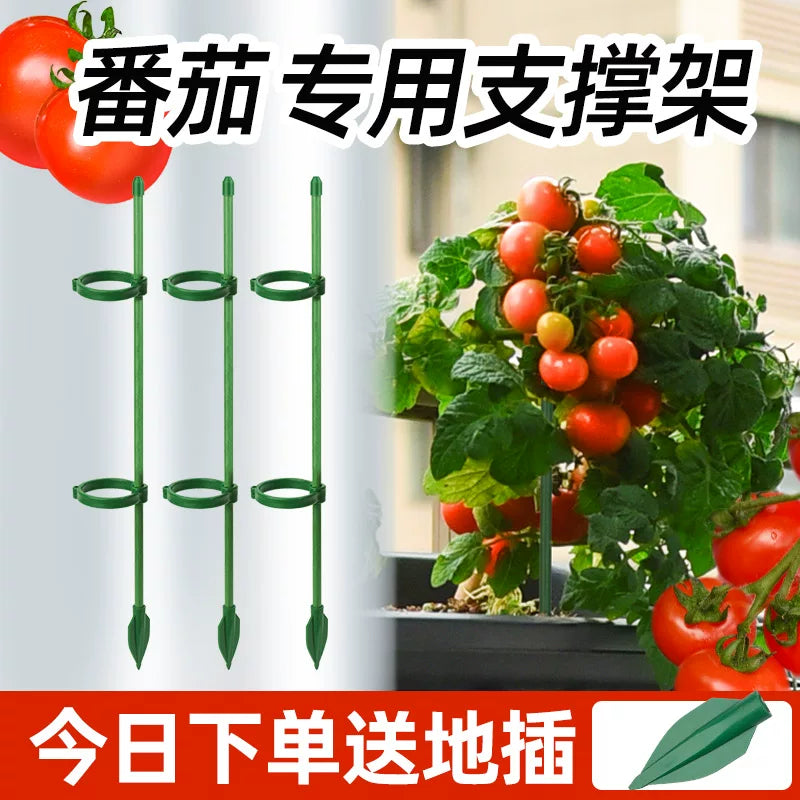 Tomato Plant Support Stakes with Clips and Ground Plugs for Climbing Vegetables and Flowers
