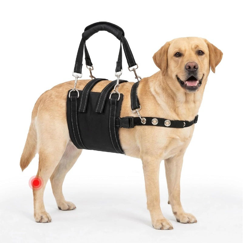 Pet Dog Mobility Aid Harness for Injured Senior Dogs Post-Surgery Rehabilitation Support
