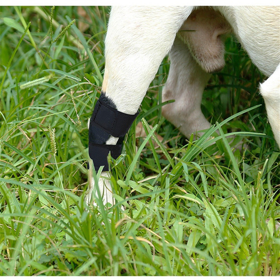 Pet Dog Leg Brace for Post-Surgery Recovery and Joint Support, Anti-Lick Sleeve