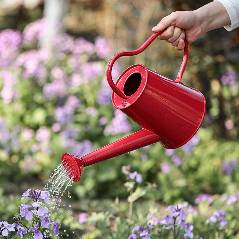 Red Iron Art Heart Handle Watering Can for Home Gardening