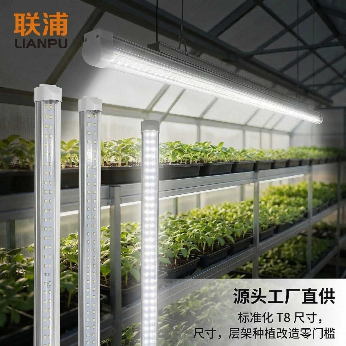 LED Grow Light Full Spectrum for Succulents and Indoor Plants, Plant Growth Lamp for Seedlings and Flowering