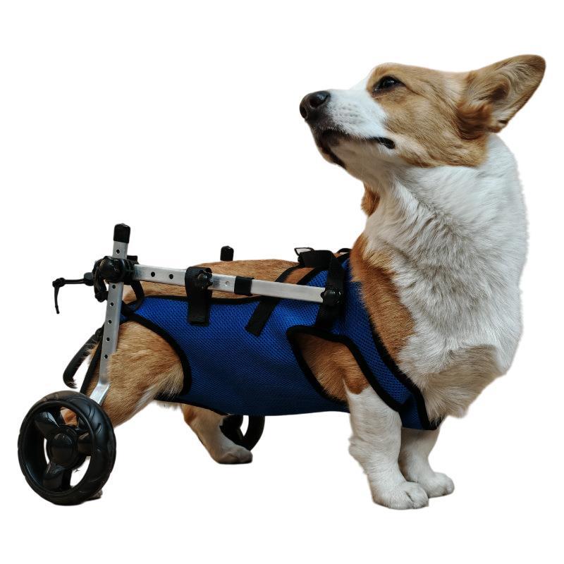 Small Dog Wheelchair for Disabled, Elderly, or Injured Pets - Mobility Aid Cart for Dogs Under 25 lbs