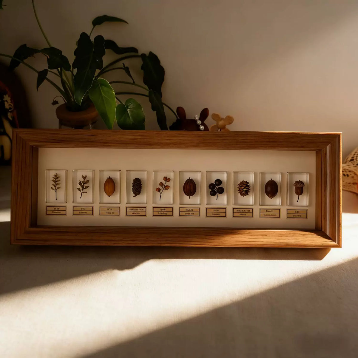 Multi-Grid Shadow Box Frame for DIY Specimen Display - 2cm Deep
