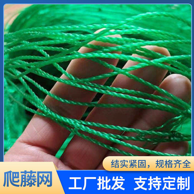 Plant Climbing Netting for Garden Trellis Support, Green Heavy-Duty Mesh for Fruits, Vegetables, and Flowers