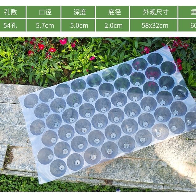 Seedling Starter Trays for Fruits, Vegetables, and Tobacco - Reusable Plastic Plant Germination Trays