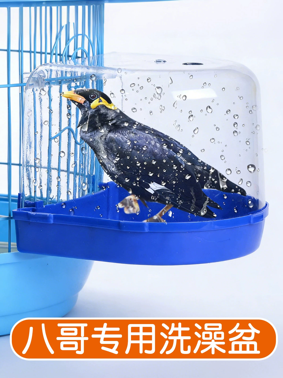 Bird Bath Tub for Parrots Mynah Starlings Tiger Skin Peony Birds Large External/Internal Hanging Bath Box
