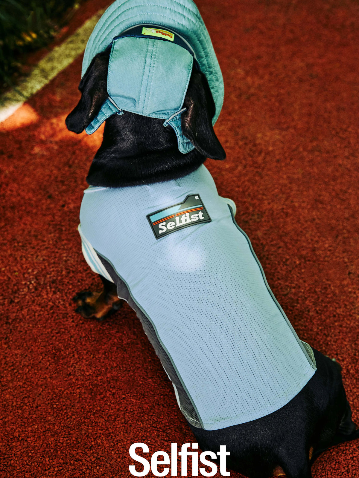 Selfist Cooling Ice Silk Dog Vest for Summer Breathable Heat Dissipation and Insect Repellent