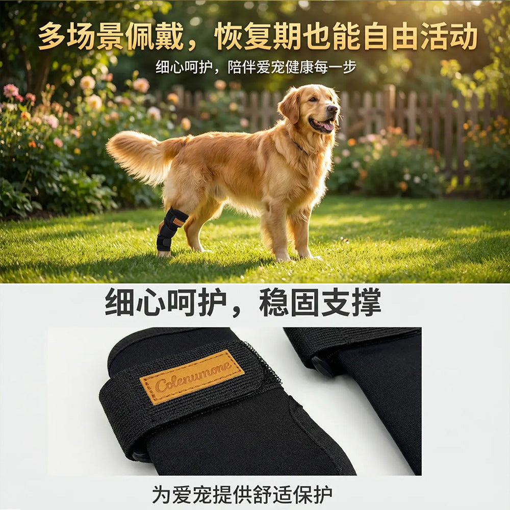 Pet Leg Brace for Injury Recovery, Anti-Lick, Anti-Scratch, Protective Sleeve for Dogs