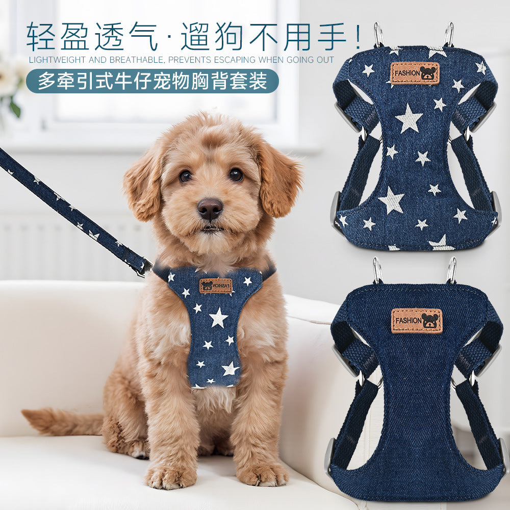 Dog Vest Harness and Leash Set for Small to Medium Dogs - Teddy, Bichon, Multifunctional Pet Harness