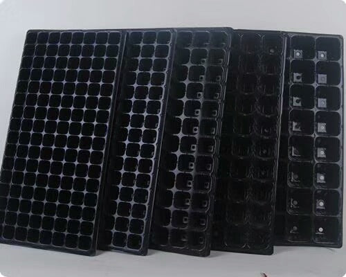 Seedling Starter Trays with Multiple Cells for Vegetable and Flower Cultivation