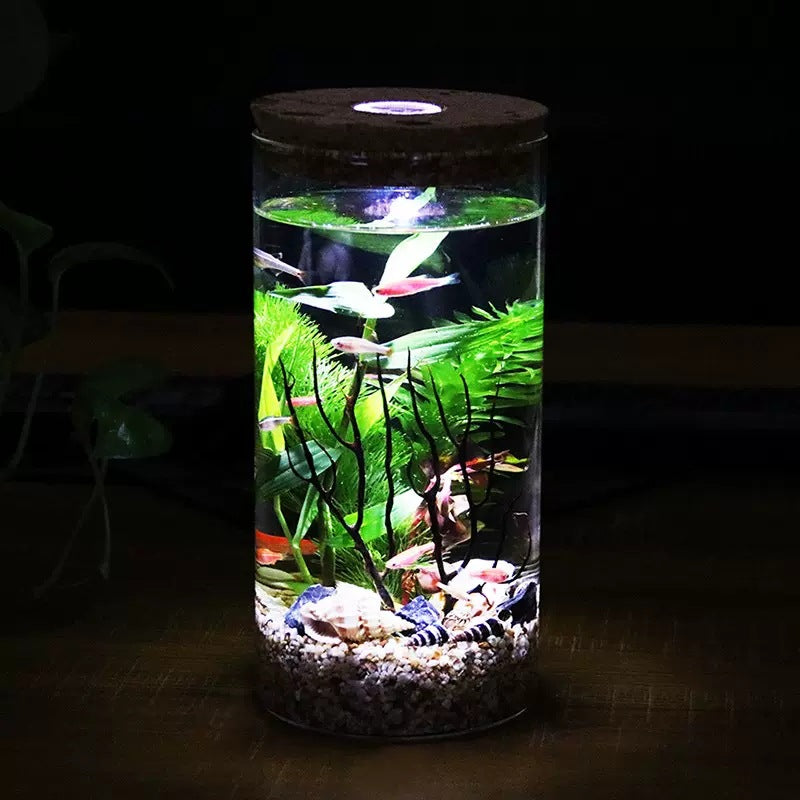 Miniature Ecosystem Glass Fish Tank with Remote Control LED Light for Desktop Decor