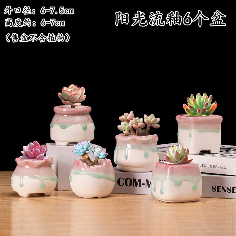 Ceramic Succulent Planter with Ice Crack Glaze - Minimalist White Base for Small Green Plants