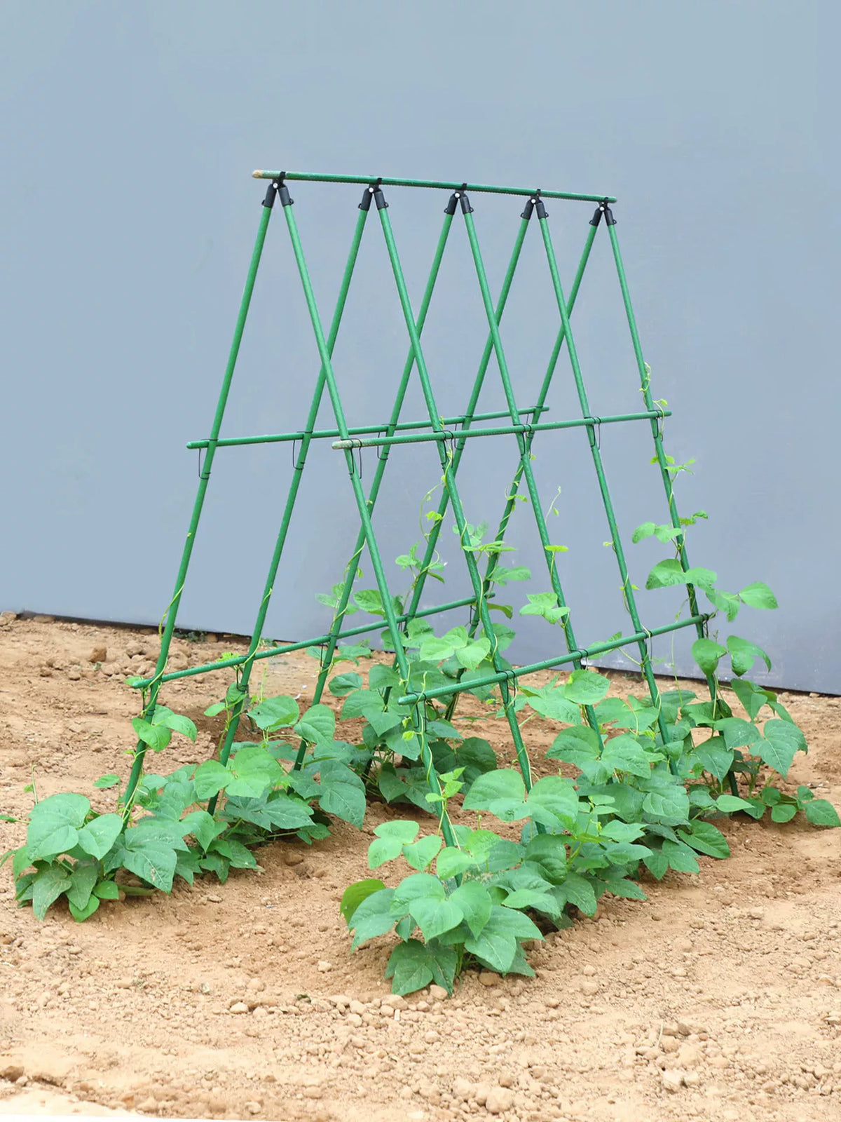 Garden Trellis Kit for Climbing Plants, Coated Steel Support for Beans, Cucumbers, Tomatoes, and Vegetables