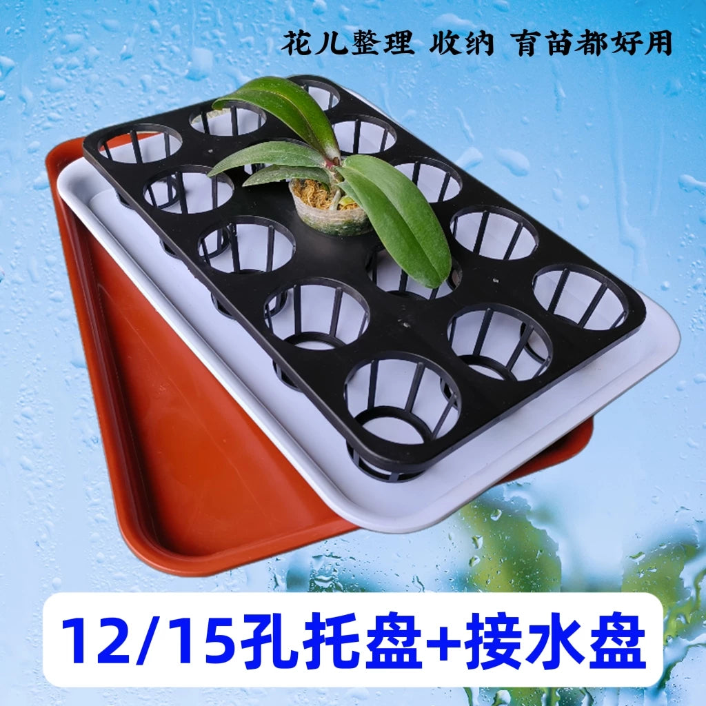 Orchid Pot Tray with Drip Tray, Rectangular Large Seedling Tray for Planters