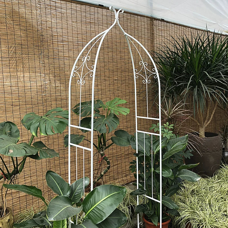 Metal Garden Arch Trellis for Climbing Plants, Roses, and Vines - Outdoor Support Frame