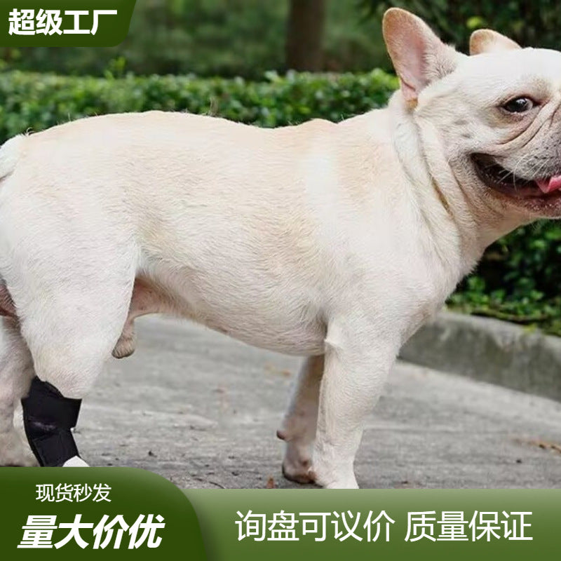 Pet Dog Leg Brace for Injury Recovery and Anti-Lick Protection