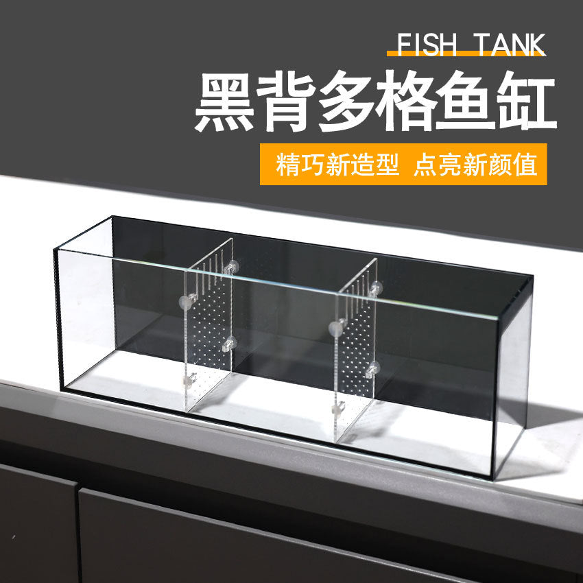 Multi-Compartment Ultra-White Glass Betta Fish Tank for Desktop or Balcony