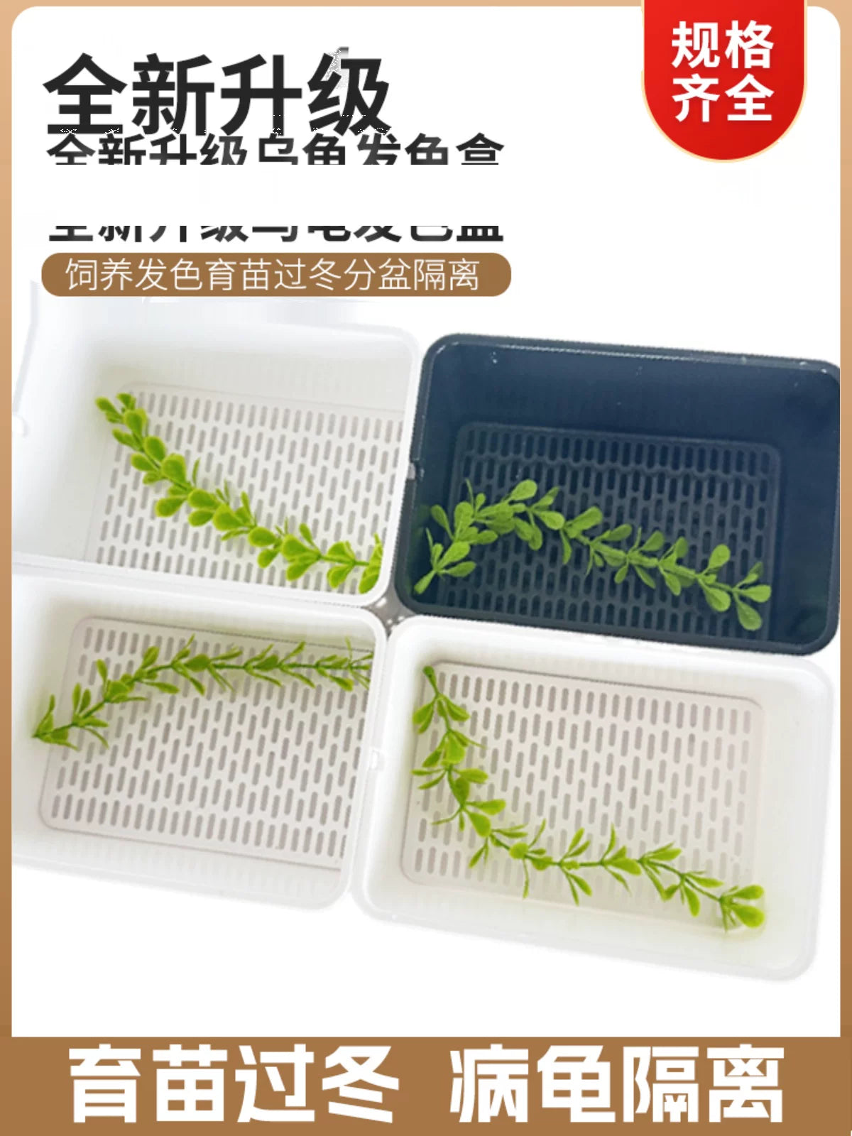 Turtle Hatching and Rearing Box Set for Aquatic Reptiles