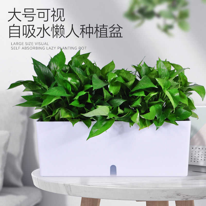 Self-Watering Planter Box with Visible Water Level Indicator for Balcony Vegetable Gardening