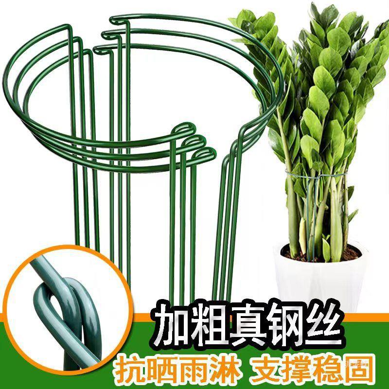 Half-Round Plant Support Stakes for Climbing Vines & Potted Plants, Anti-Toppling Garden Flower Stand