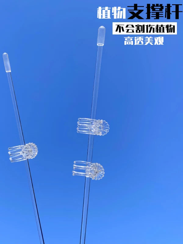 Clear Acrylic Plant Support Stakes and Clips for Climbing Plants and Orchids