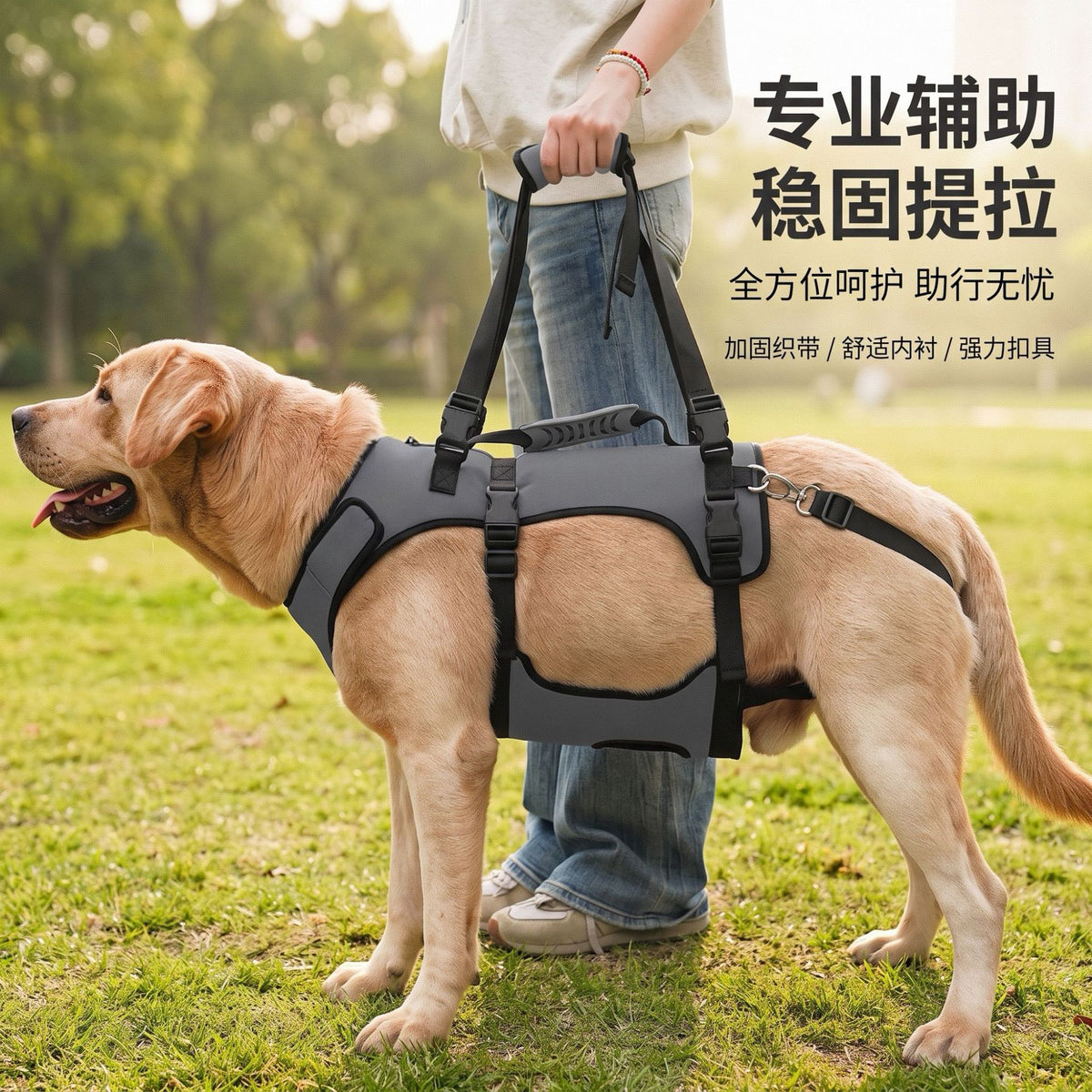 Dog Full Body Support Harness for Post-Surgery Recovery and Joint Care