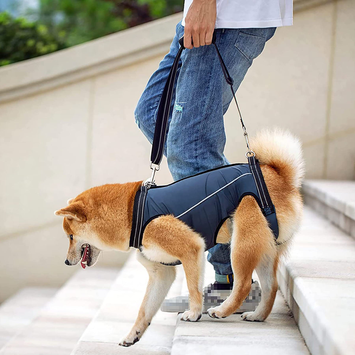 Dog Rear Leg Support Harness for Injured, Disabled, or Elderly Dogs