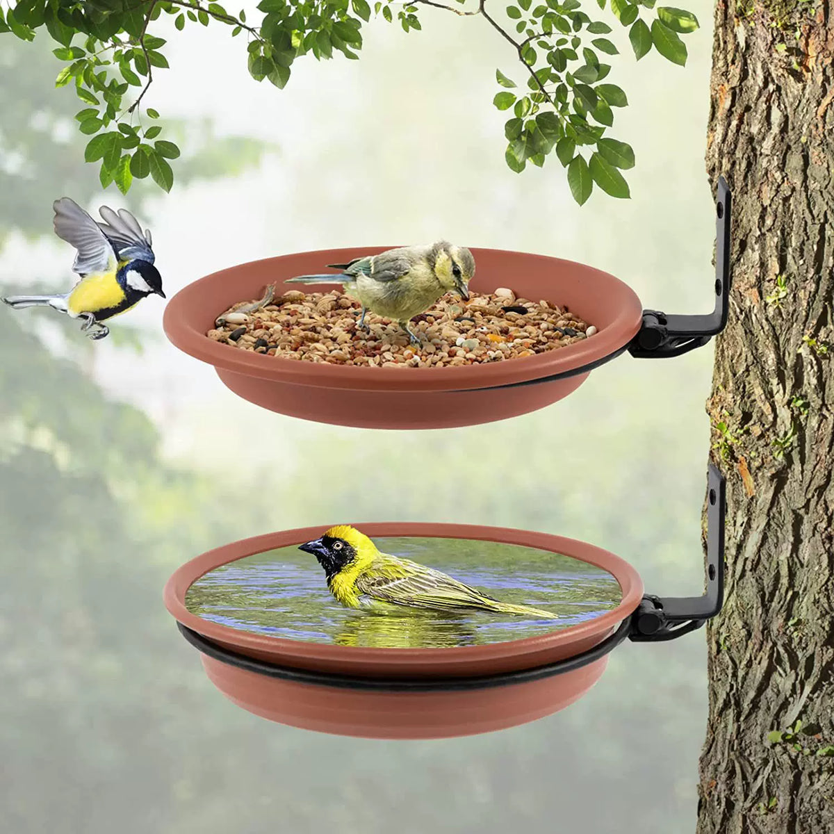 Hanging Bird Feeder and Waterer Tray Set for Garden and Outdoor Use