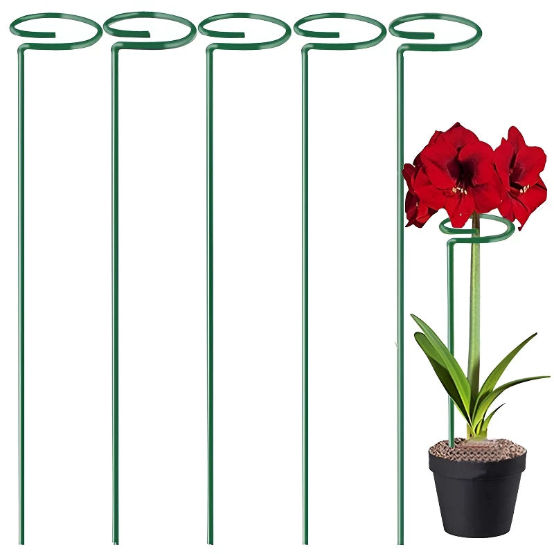 Plant Support Stakes for Potted Flowers, Orchid, Amaryllis - Rust-Resistant Coated Iron Garden Plant Support