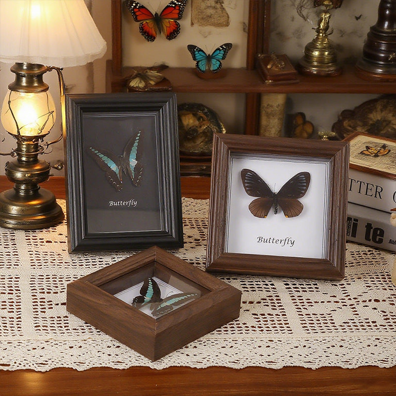 European Retro Hollow 3D Specimen Display Frame for Butterflies and Insects, Square Wooden Picture Frame