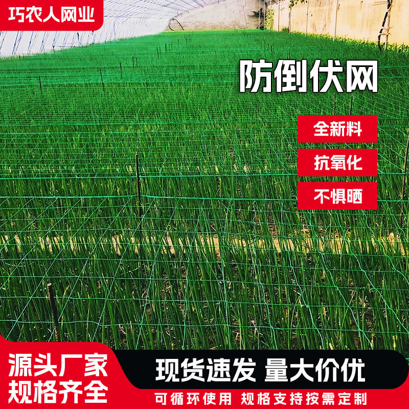 Plant Support Netting for Climbing Vines and Garden Trellis, Anti-Toppling Grid Net