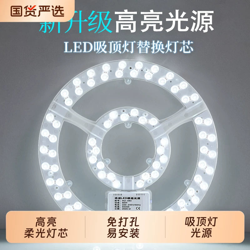LED Ceiling Light Replacement Module with Magnetic Mount for Living Room Kitchen
