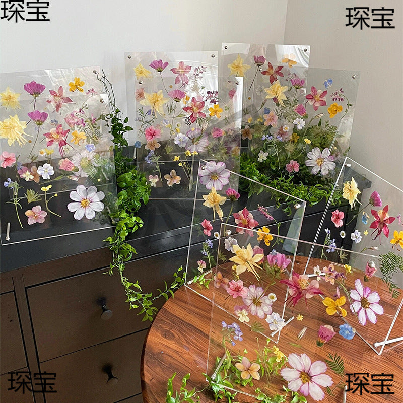 Handmade Acrylic DIY Frame with Dried Flowers, Preschool Graduation Plant Specimen Frame for Kids